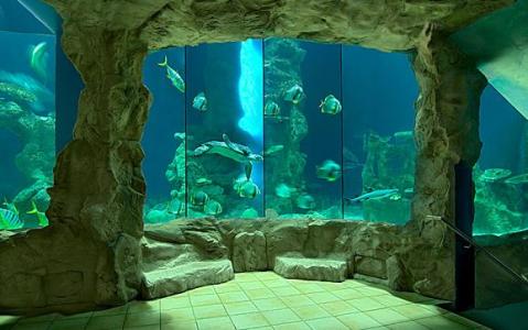 Тропический аквариум в военном укреплении