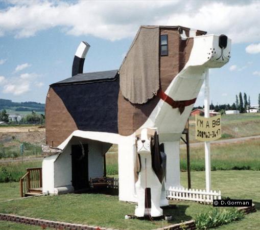 Отель в форме собаки